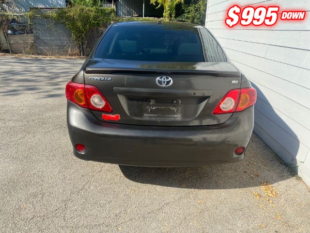 Toyota Corolla Vehicle Image 04