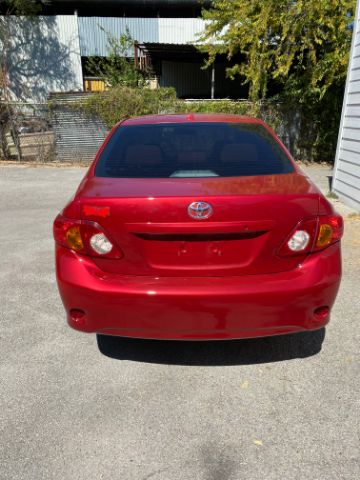 Toyota Corolla Vehicle Image 05