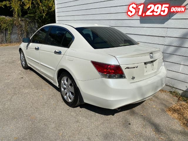 Honda Accord Vehicle Image 03