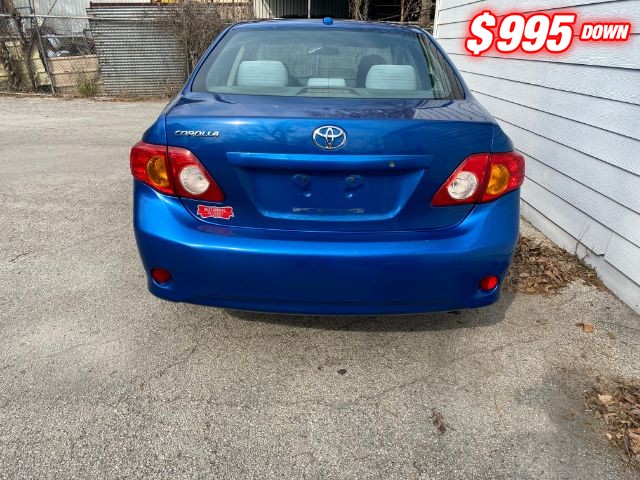 Toyota Corolla Vehicle Image 04