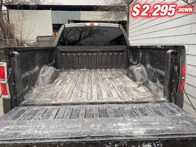 Ford F-150 Vehicle Image 07