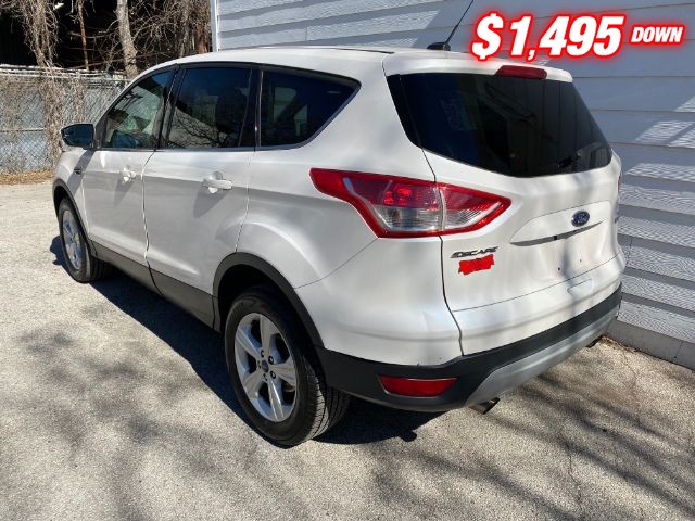 Ford Escape Vehicle Image 03