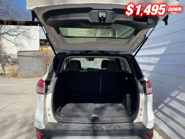 Ford Escape Vehicle Image 05