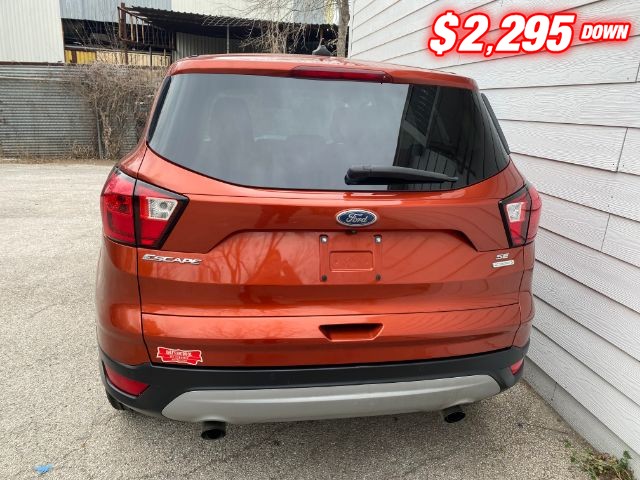 Ford Escape Vehicle Image 04