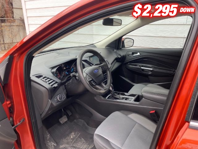 Ford Escape Vehicle Image 06