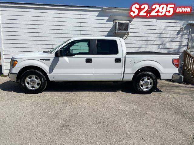 Ford F-150 Vehicle Image 02
