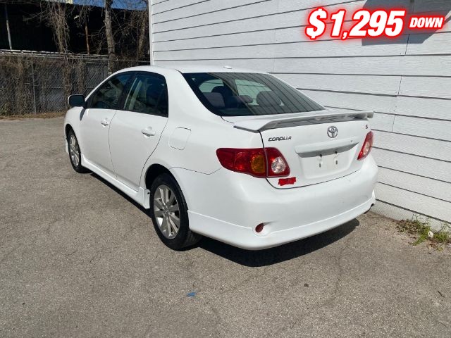 Toyota Corolla Vehicle Image 03