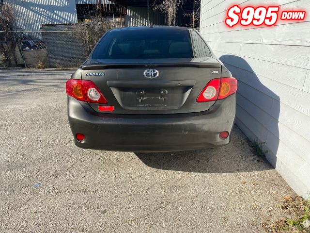 Toyota Corolla Vehicle Image 04