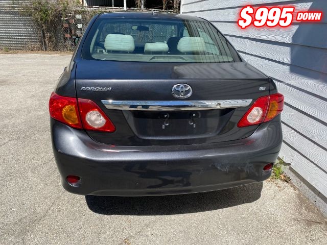 Toyota Corolla Vehicle Image 04