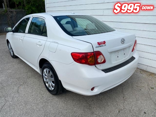 Toyota Corolla Vehicle Image 03