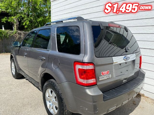 Ford Escape Vehicle Image 03