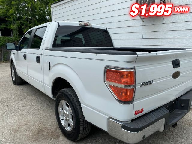 Ford F-150 Vehicle Image 03