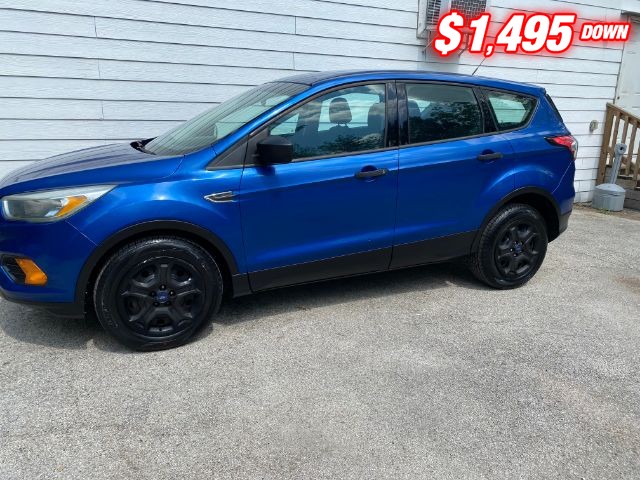 Ford Escape Vehicle Image 02