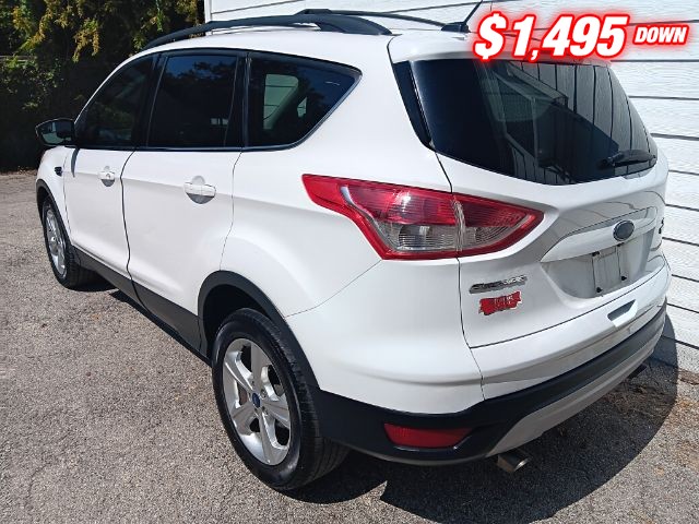 Ford Escape Vehicle Image 03