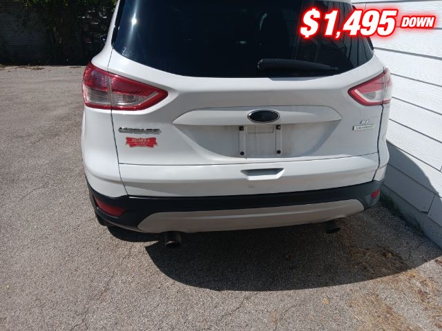 Ford Escape Vehicle Image 04