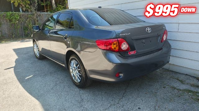 Toyota Corolla Vehicle Image 05