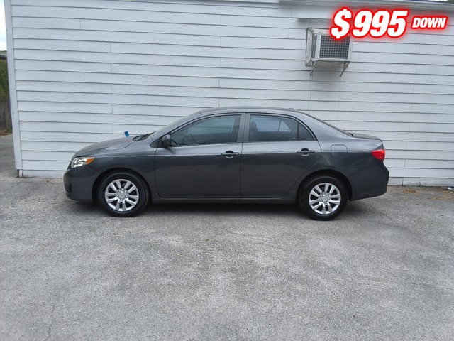 Toyota Corolla Vehicle Image 03