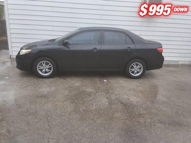 Toyota Corolla Vehicle Image 04