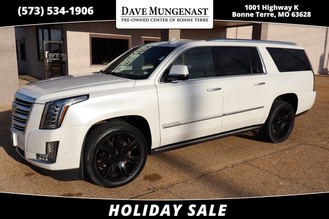 2019 Cadillac Escalade ESV Platinum's photo