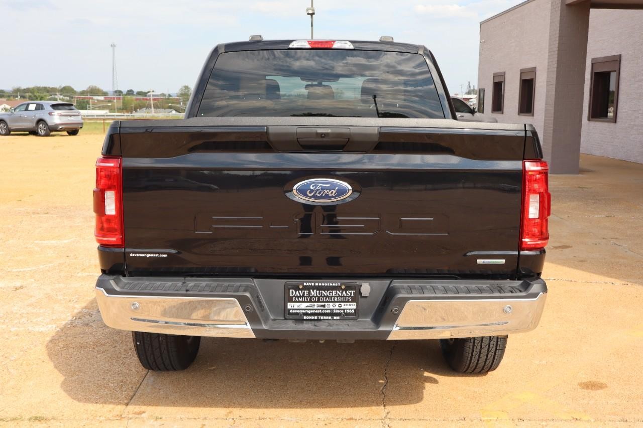 Ford F-150 Vehicle Full-screen Gallery Image 4