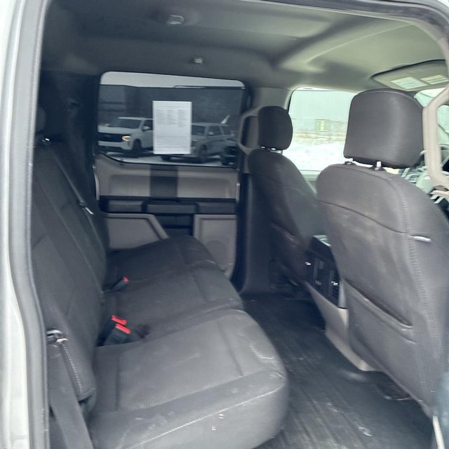 Ford F-150 Vehicle Full-screen Gallery Image 13