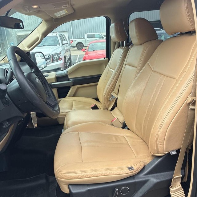 Ford F-150 Vehicle Full-screen Gallery Image 10