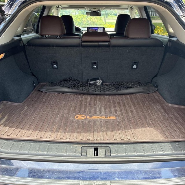Lexus RX 350 Vehicle Full-screen Gallery Image 24
