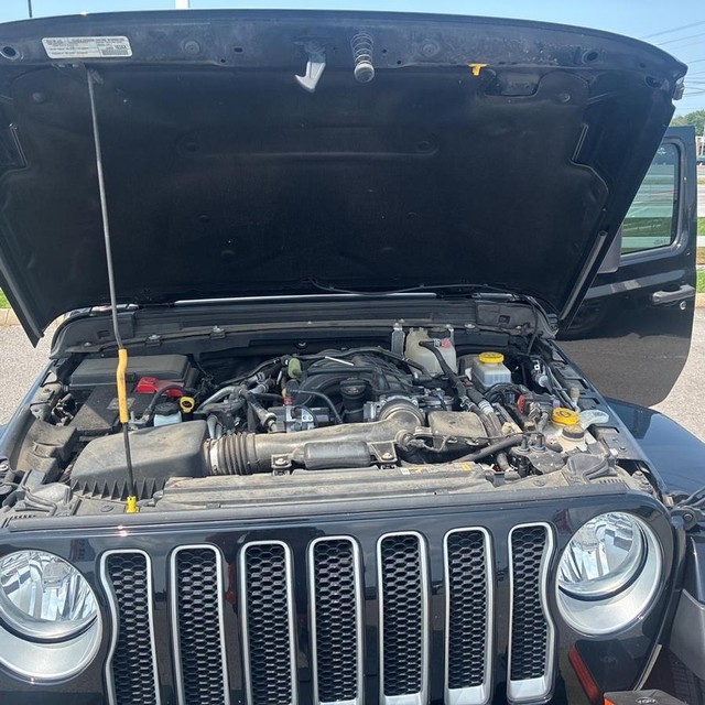 Jeep Wrangler Vehicle Full-screen Gallery Image 18