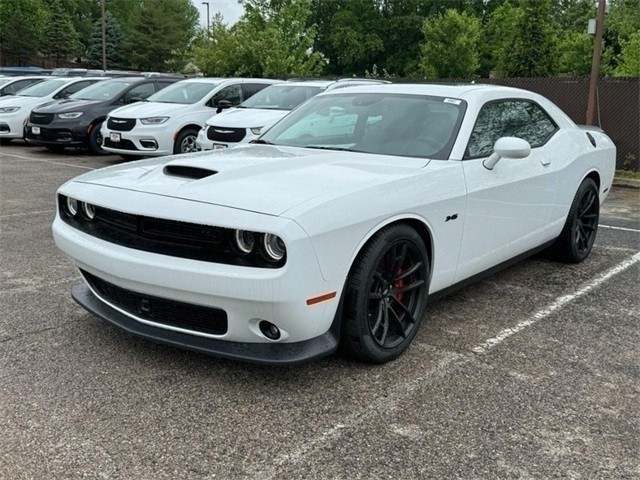 Dodge Challenger Vehicle Image 08