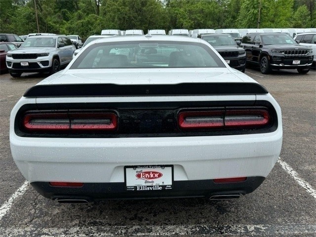 Dodge Challenger Vehicle Image 14