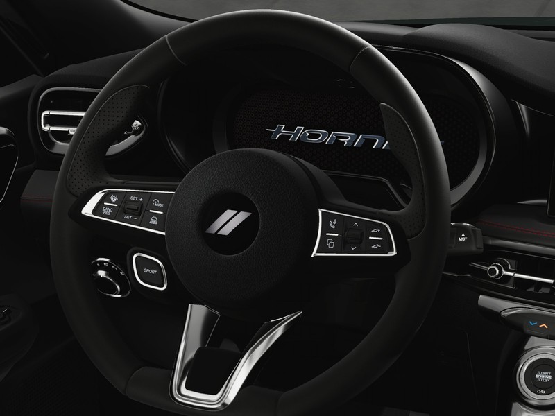Dodge Hornet Vehicle Image 25