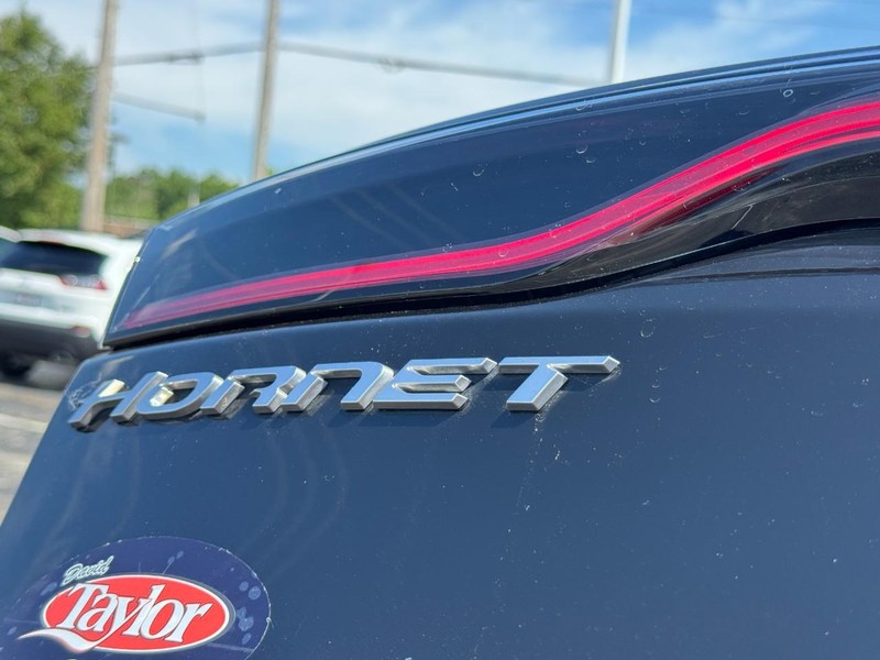 Dodge Hornet Vehicle Image 12