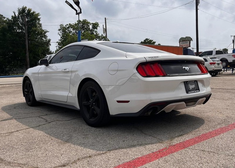 Ford Mustang Vehicle Image 06