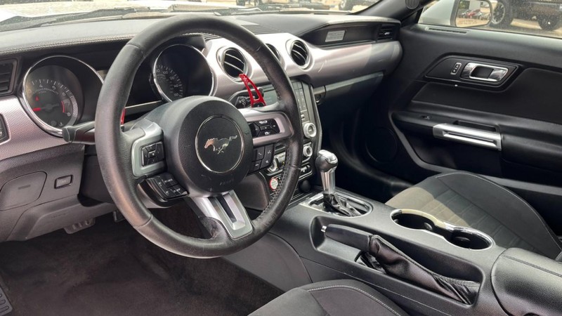 Ford Mustang Vehicle Image 05