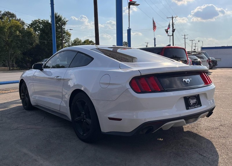 Ford Mustang Vehicle Image 07