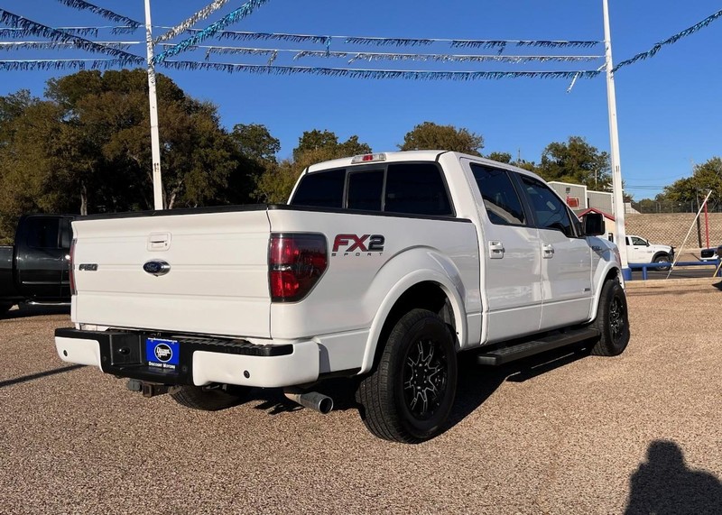 Ford F-150 Vehicle Image 04