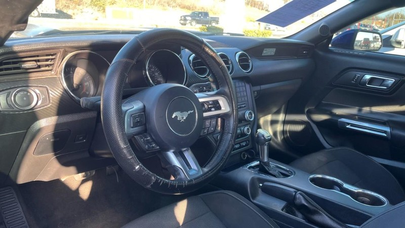 Ford Mustang Vehicle Image 05