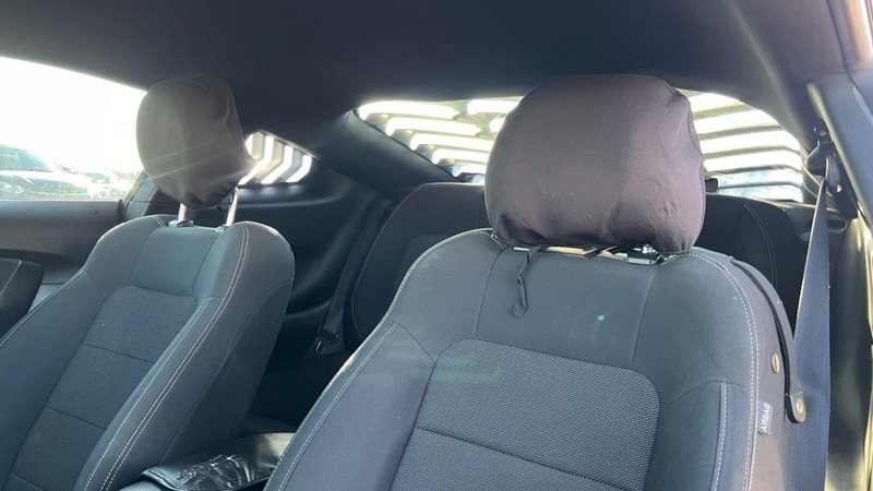 Ford Mustang Vehicle Image 06