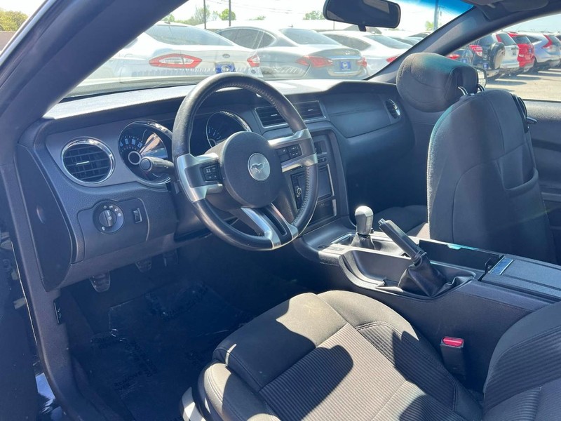 Ford Mustang Vehicle Image 06