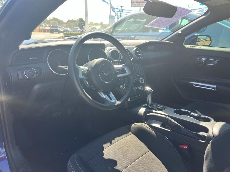 Ford Mustang Vehicle Image 05