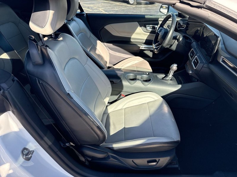 Ford Mustang Vehicle Full-screen Gallery Image 33