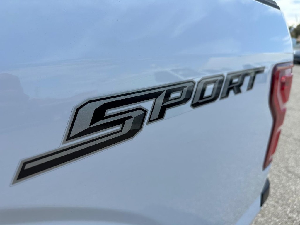 2020 Ford F-150 photo 4