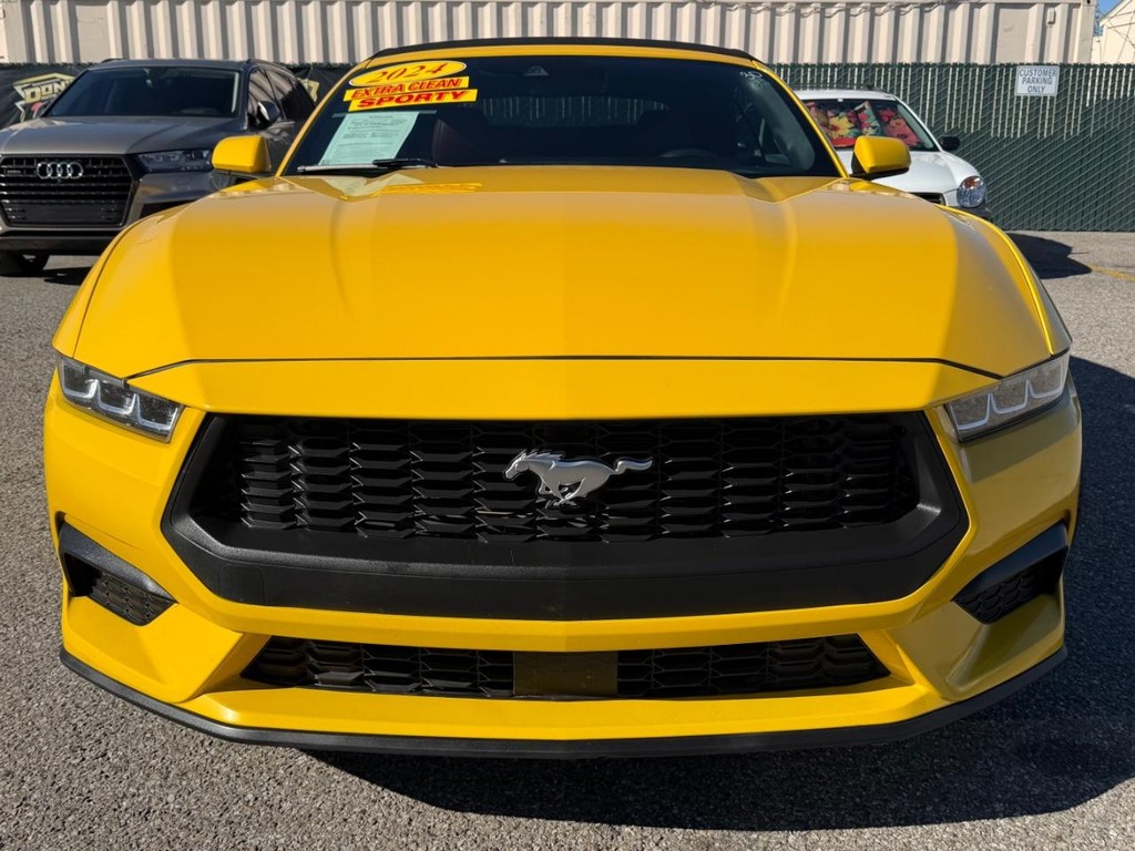 Ford Mustang Vehicle Full-screen Gallery Image 23