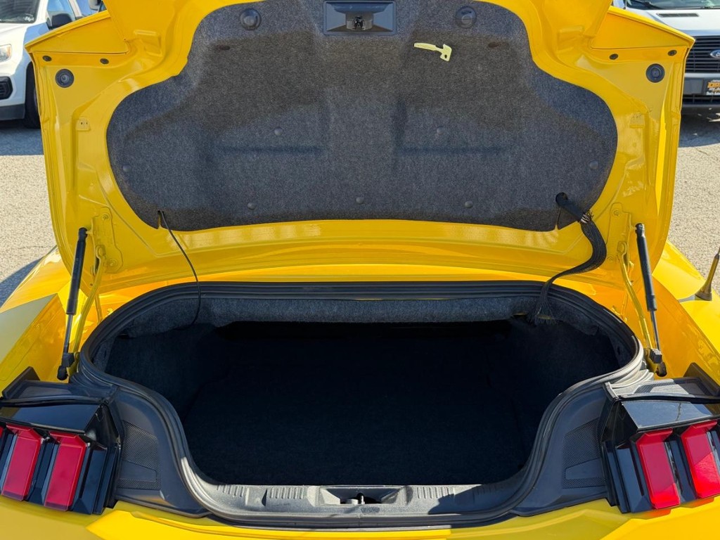 Ford Mustang Vehicle Full-screen Gallery Image 47