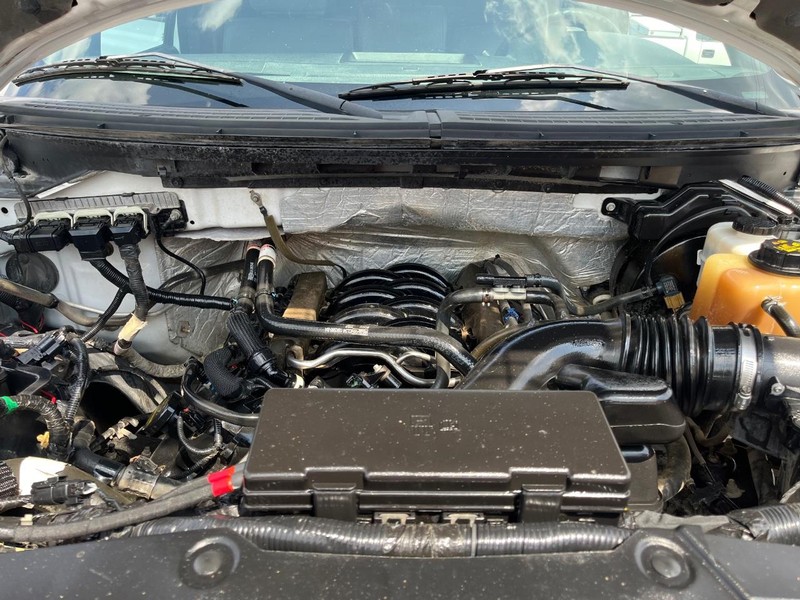 Ford F-150 Vehicle Image 12