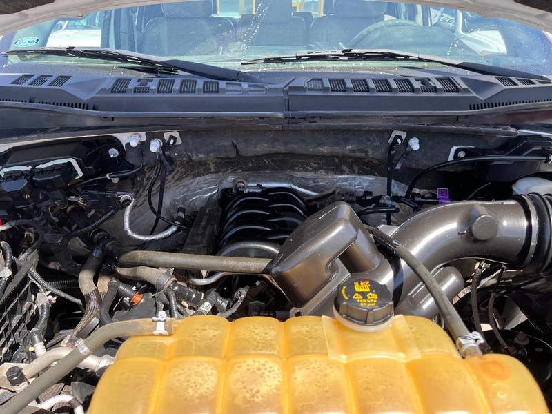 Ford F-150 Vehicle Image 10