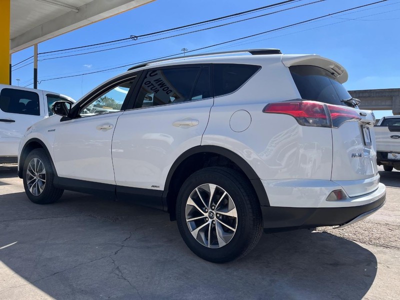 Toyota RAV4 Vehicle Image 06