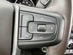 2020 GMC Sierra 1500 4WD Denali Crew Cab thumbnail image 17