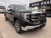 2025 GMC Sierra 1500 SLT thumbnail image 03