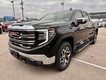 2025 GMC Sierra 1500 SLT thumbnail image 08